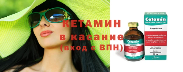 СК Новодвинск